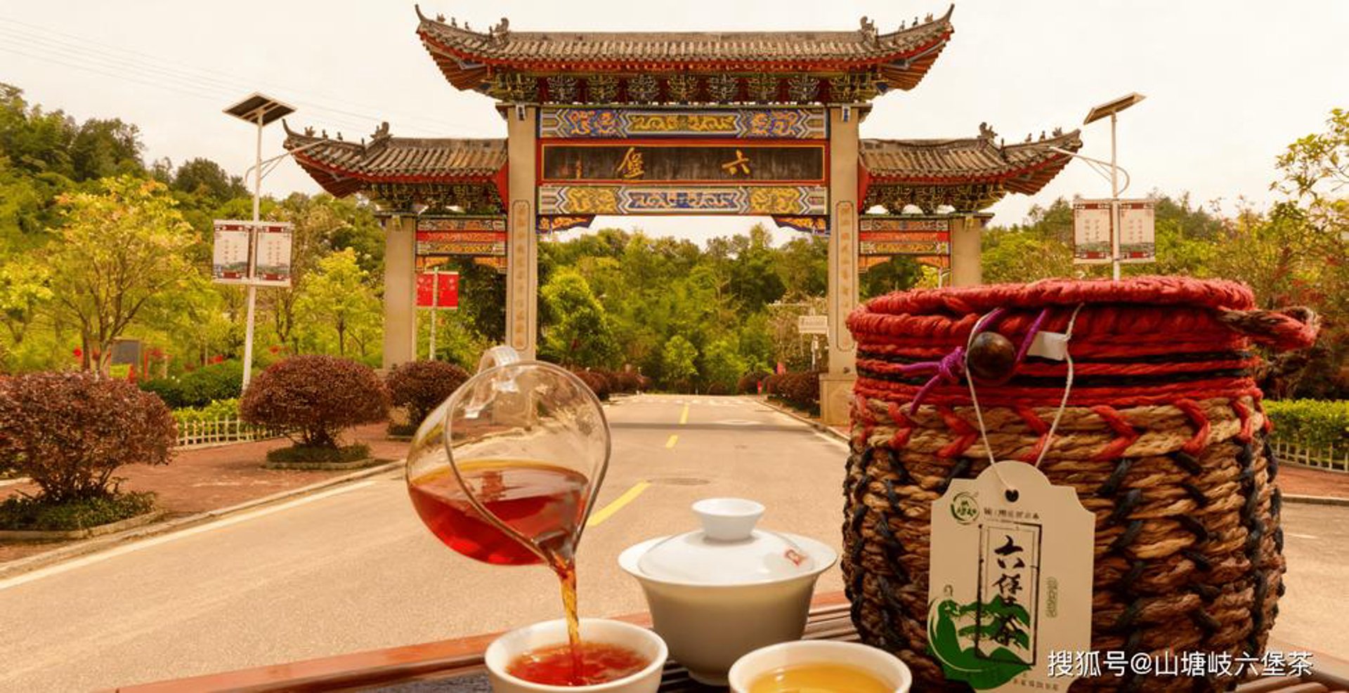 窖藏六堡茶业